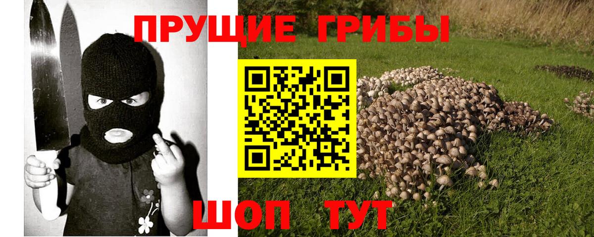 Аша  Галлюциногенные грибы Magic Shrooms  Псилоцибиновые грибы Magic Shrooms  Вход с VPN 
